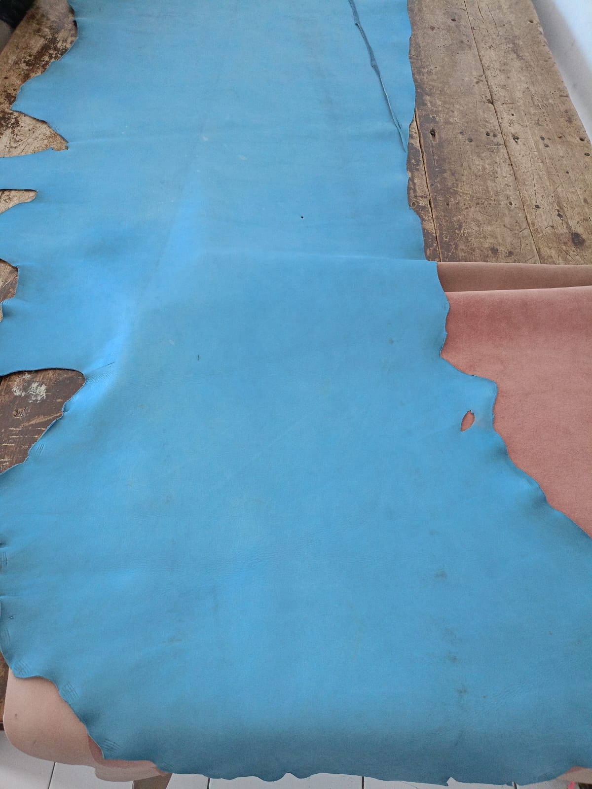 Kulit Jadi: Hide biru bentuk natural