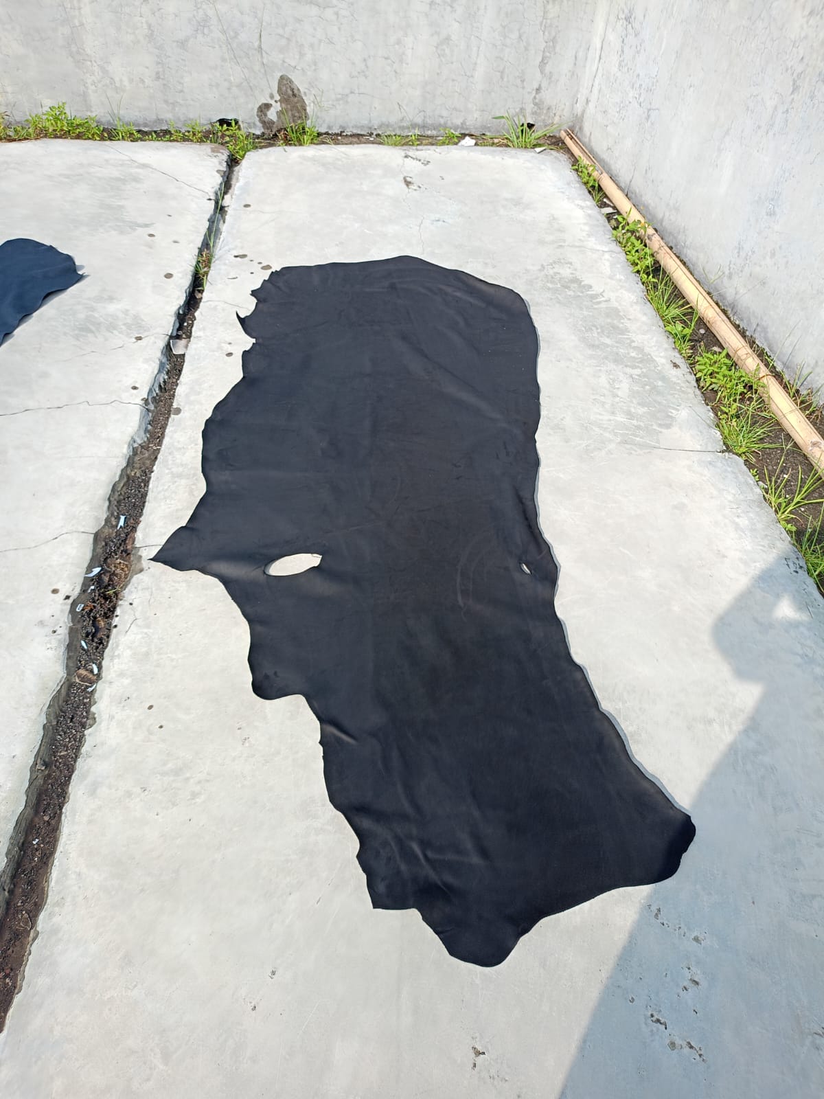 Proses Curing: Kulit mentah hitam outdoor