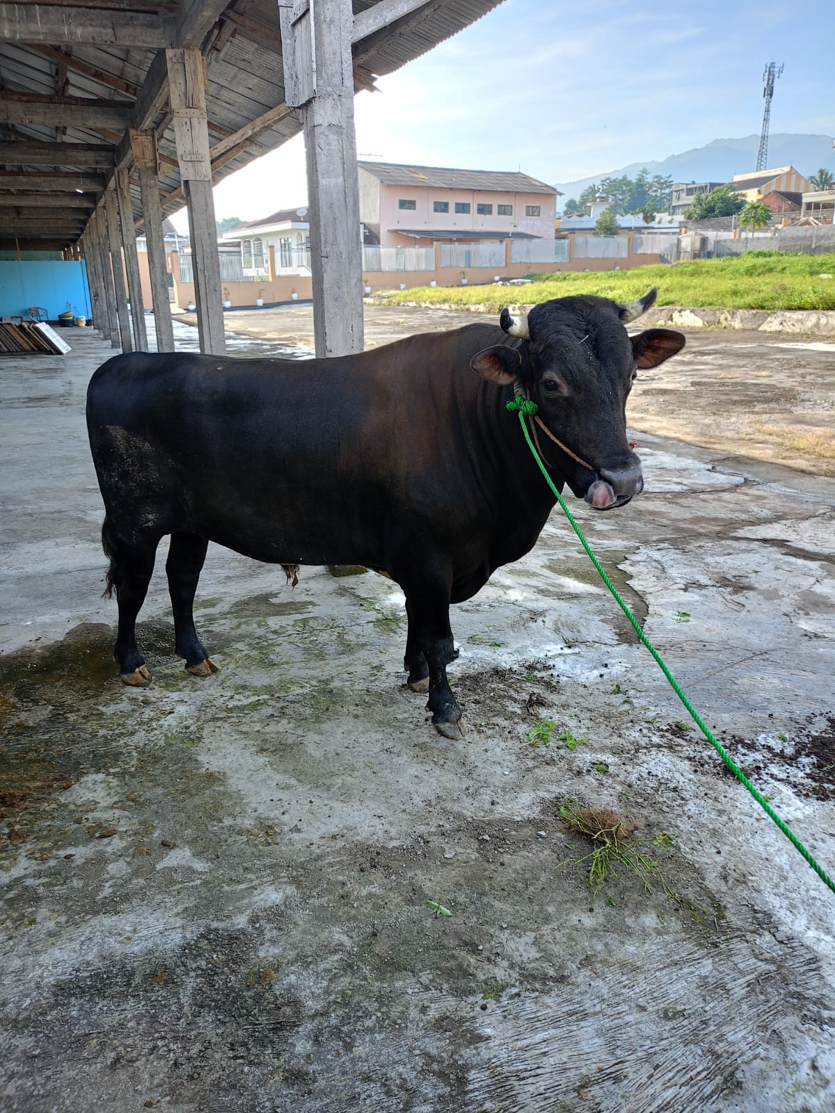 Fasilitas: Area pengolahan bahan baku